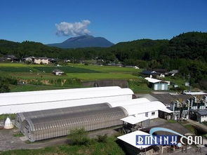 大津壁喜莱 火山送给人类的神秘礼物