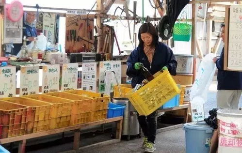 速览丨十个日本成功的文旅小镇