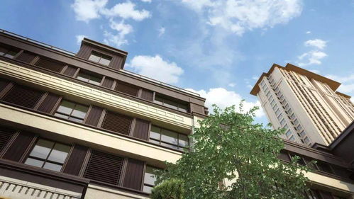 金二环 不止是钢铁丛林，更是全优型花园人居的龙辰九州